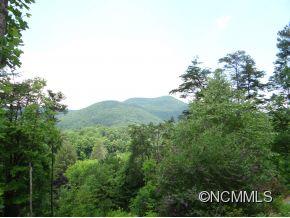17 Creek Run Road Candler, NC 28715 - Photo 3 of 18 Gallery Image 3