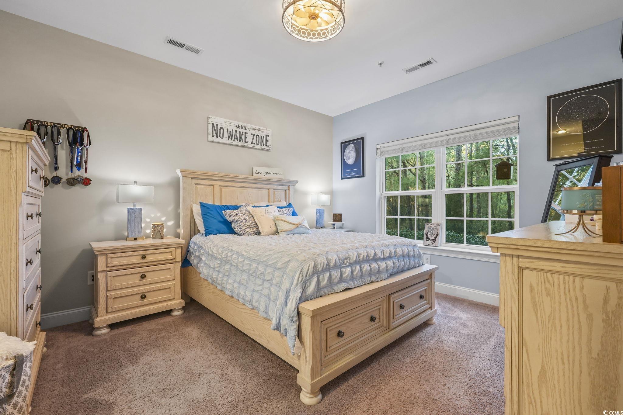 124 Birch N Coppice Drive, Unit 3 Surfside Beach, SC 29575 - Photo 18 of 40 Bedroom with dark carpet and baseboards