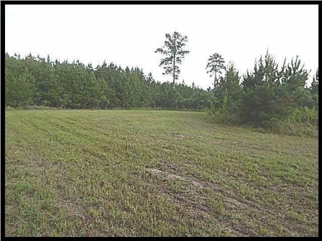 0 Bill Hubbard Road Braxton, MS 39044 - Photo 3 of 12 Photo 3
