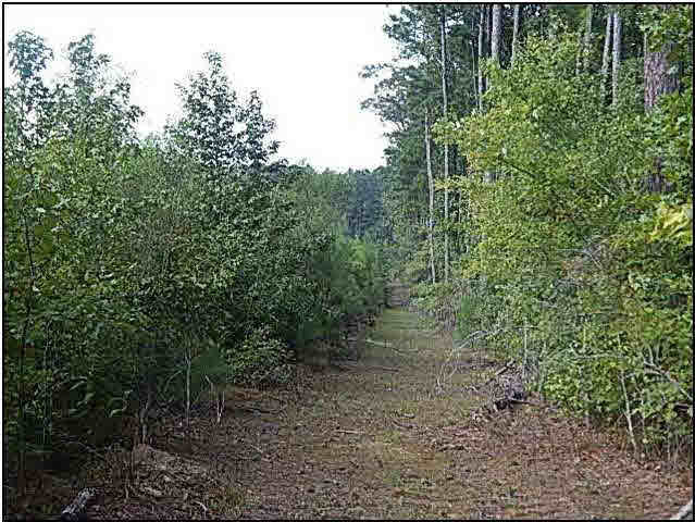 0 Bill Hubbard Road Braxton, MS 39044 - Photo 4 of 12 Photo 4