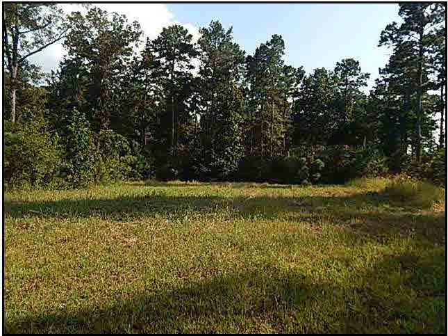 0 Bill Hubbard Road Braxton, MS 39044 - Photo 6 of 12 Photo 6