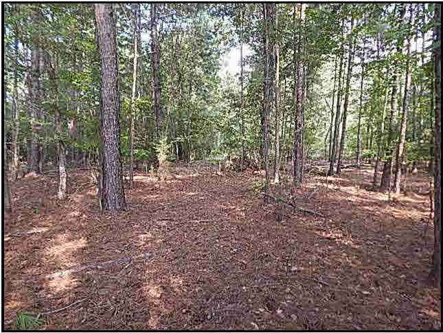 0 Bill Hubbard Road Braxton, MS 39044 - Photo 7 of 12 Photo 7