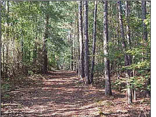 0 Bill Hubbard Road Braxton, MS 39044 - Photo 10 of 12 Photo 10