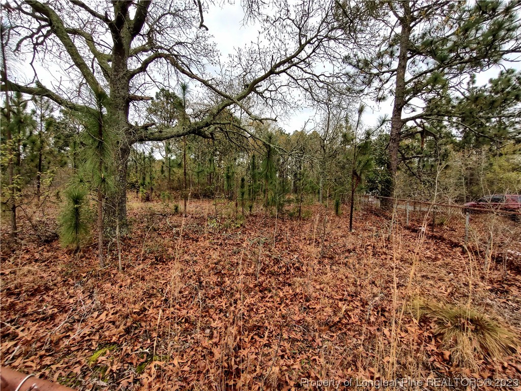 25 Patton Lane Cameron, NC 28326 - Photo 11 of 11 a view of a forest with trees