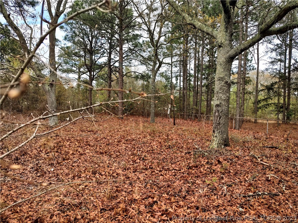 25 Patton Lane Cameron, NC 28326 - Photo 2 of 11 a backyard of a house with lots of green space