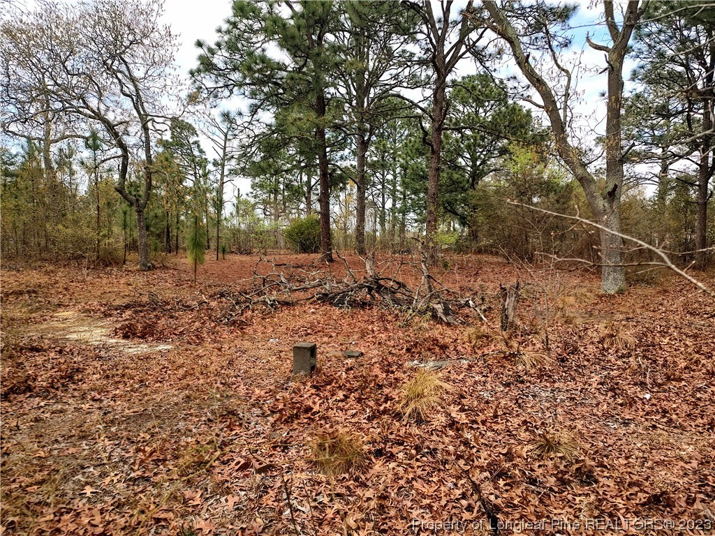 25 Patton Lane Cameron, NC 28326 - Photo 3 of 11 a view of a yard with plants and large trees