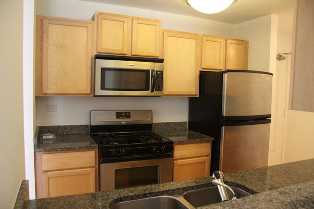 1919 Prairie Square, Unit 121 Schaumburg, IL 60173 - Photo 4 of 16