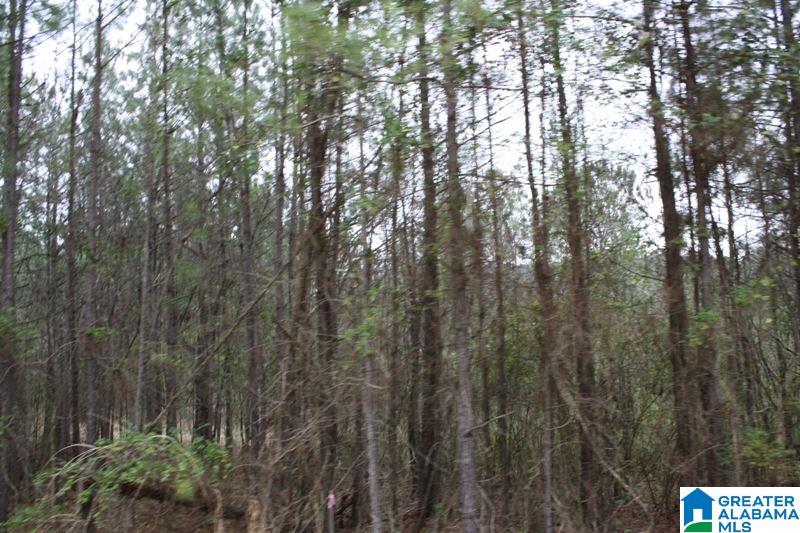 Old Choccolocco Road, Unit 97 Weaver, AL 36277 - Photo 12 of 27