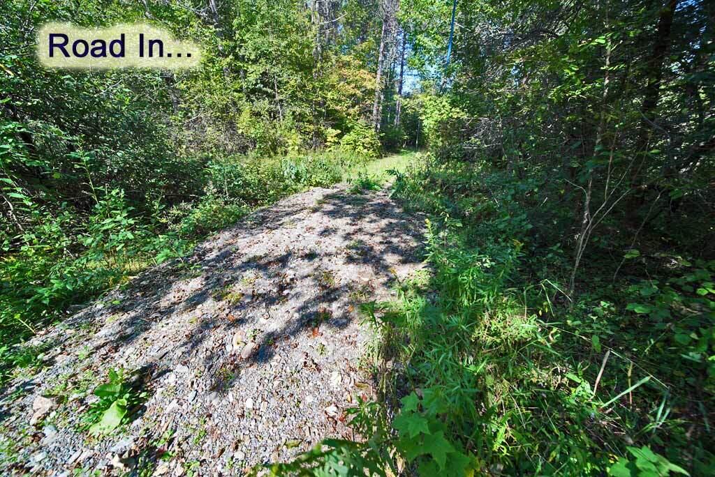Lot 5.1 Off Ludlow Road Houlton, ME 04730 - Photo 12 of 43 road-in-maine-land-3