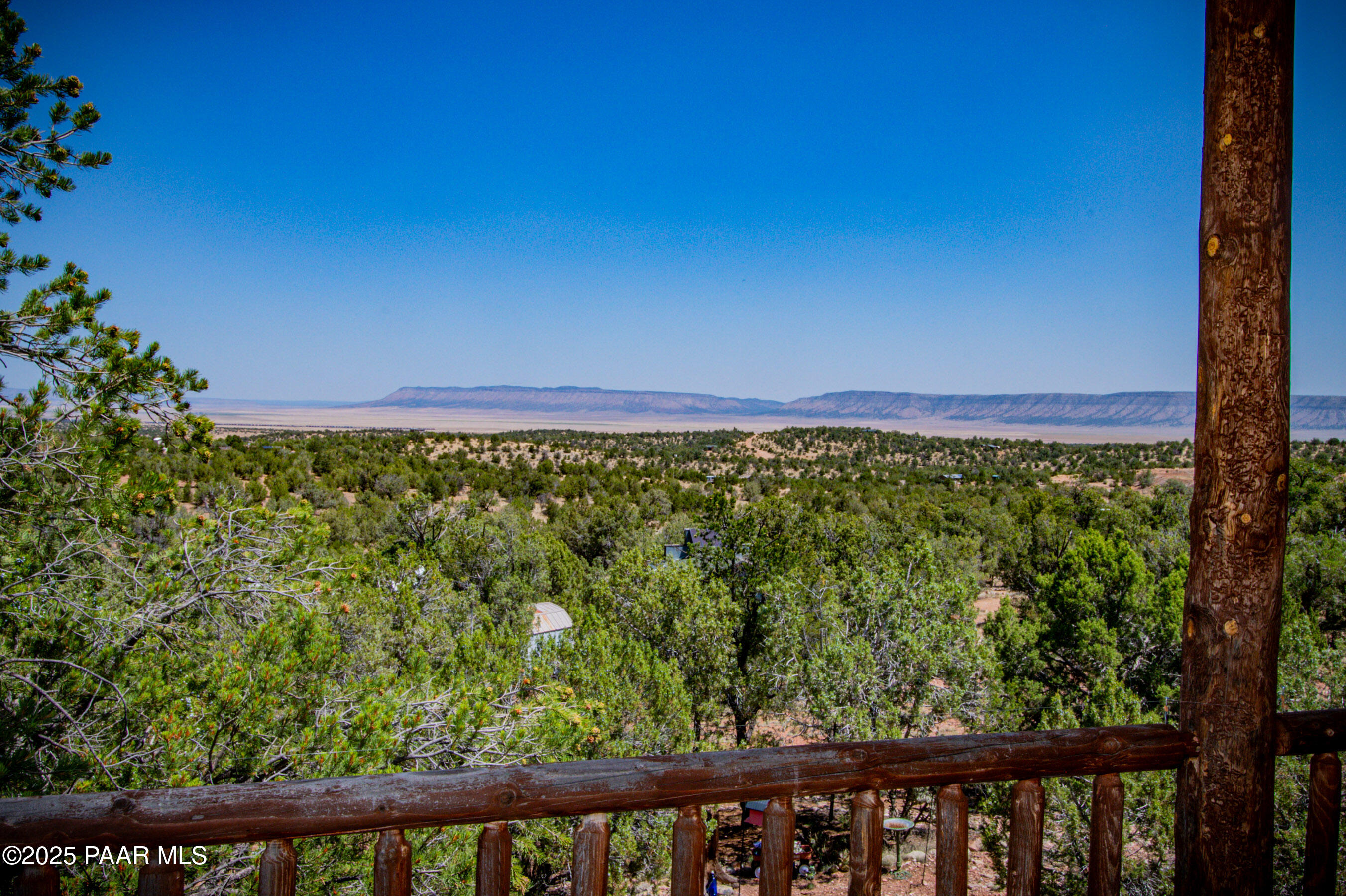 33744 Gallina Road Seligman, AZ 86337 - Photo 4 of 38 a view of a green field