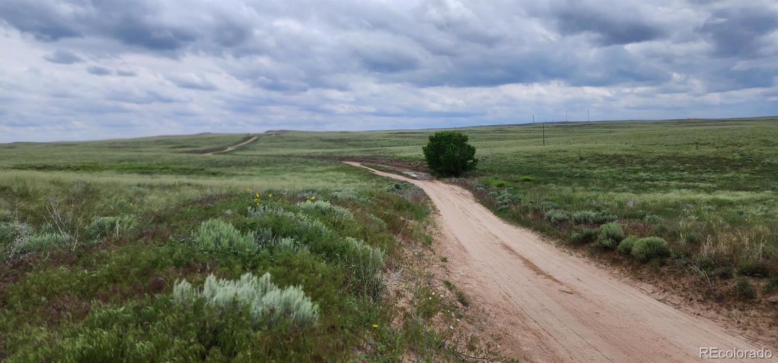 R8977763 R8977763 Orchard Orchard, CO 80649 - Photo 14 of 24