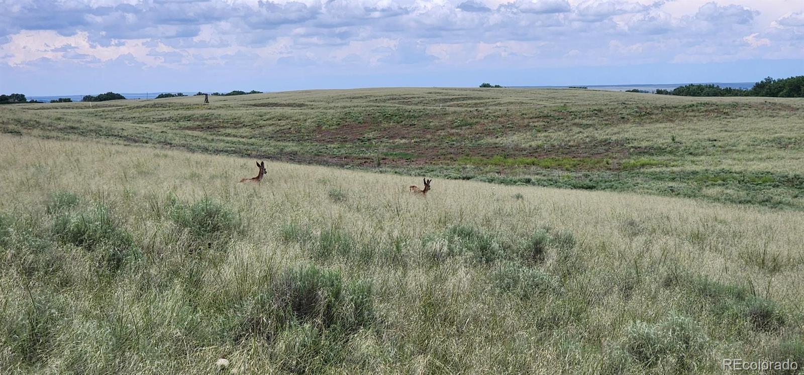 R8977763 R8977763 Orchard Orchard, CO 80649 - Photo 20 of 24