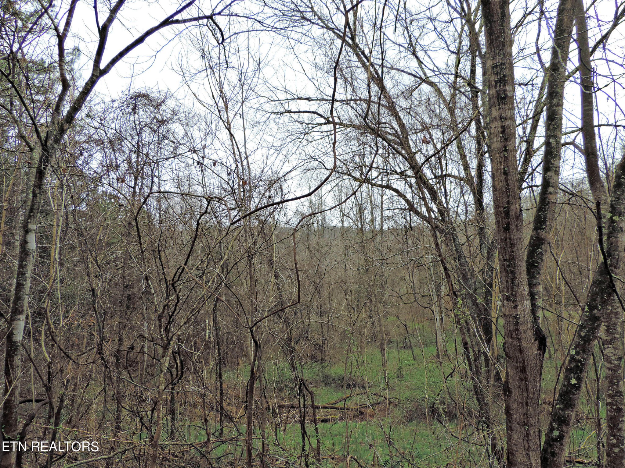 10 Hickory Spgs Road Washburn, TN 37888 - Photo 8 of 21 Gallery Image 8