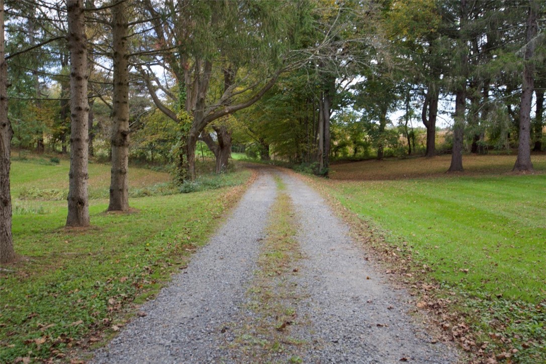 171 Co Rte 19 Hudson, NY 12534 - Photo 24 of 28