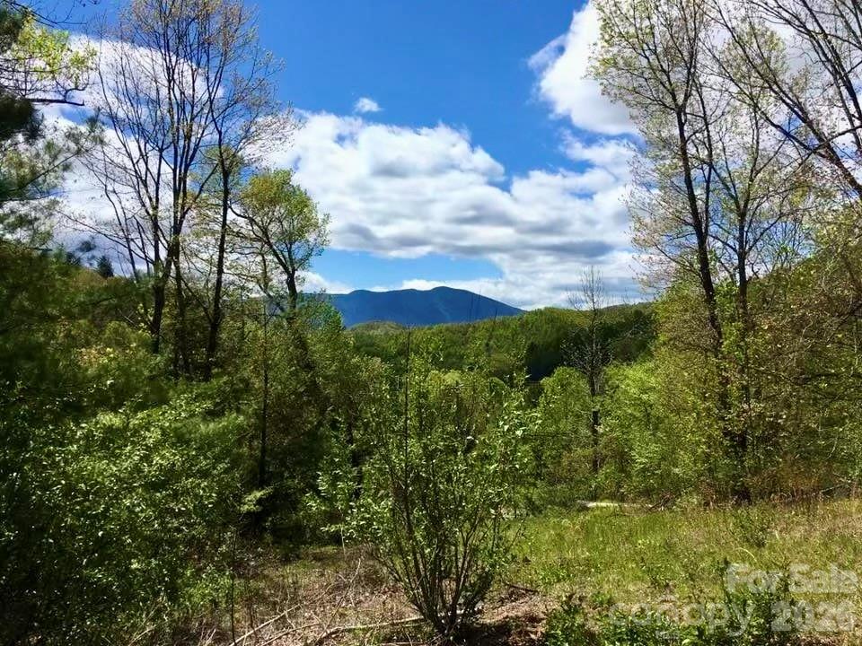 65 Blue Ridge Gem Mine Road Spruce Pine, NC 28777 - Photo 20 of 30