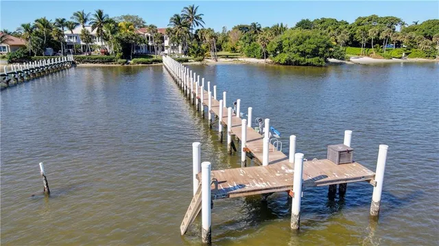 a view of a yard with plants and large trees