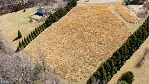 a backyard of a house with trees