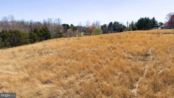 a view of a backyard of the house