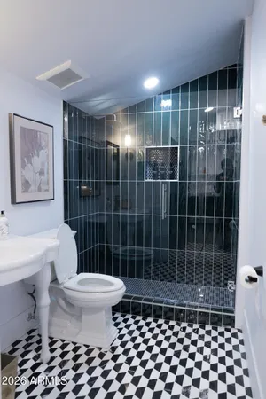 a bathroom with a toilet a shower a toilet and a sink