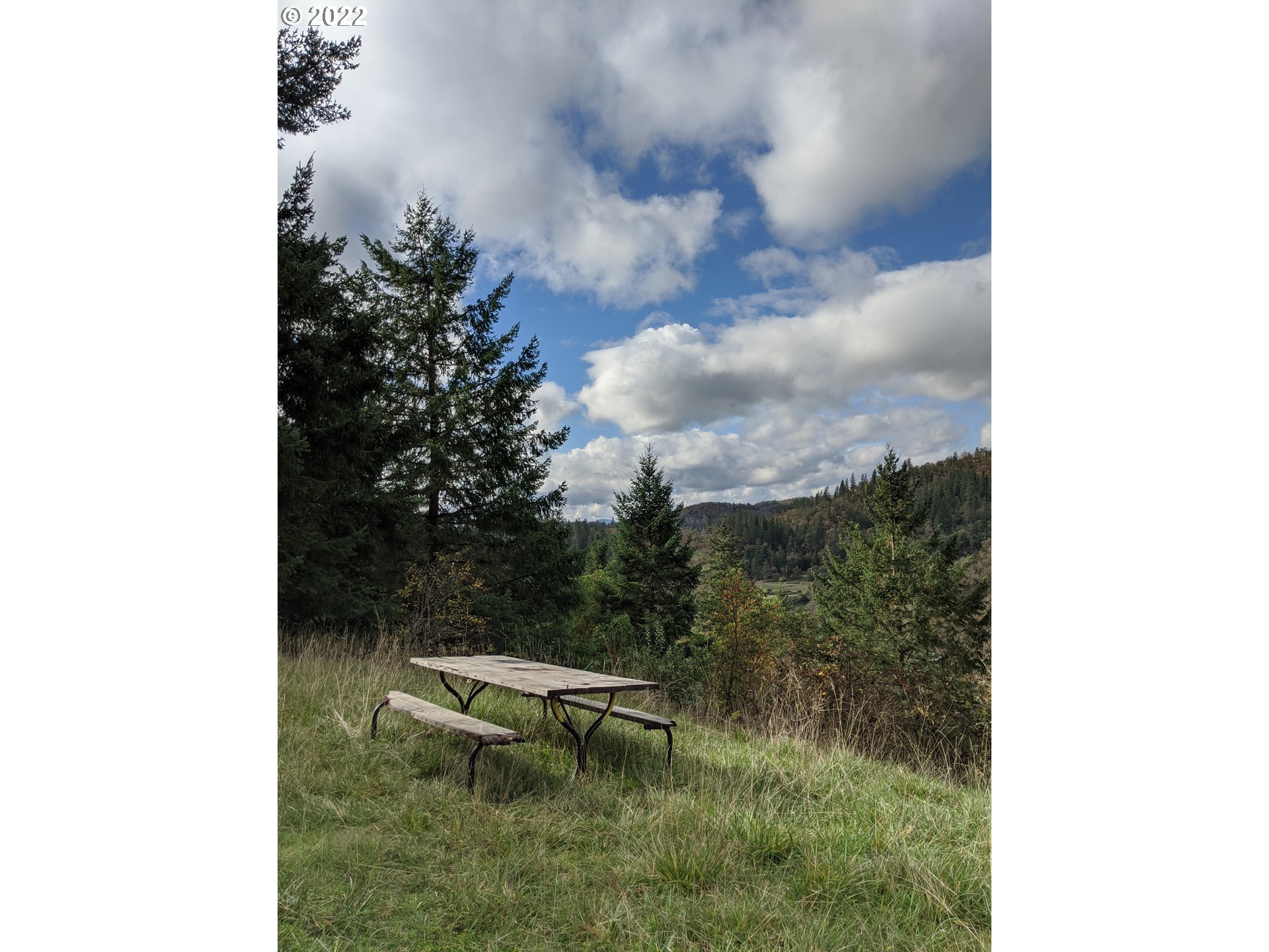 1105 Sunshine Road Roseburg, OR 97470 - Photo 3 of 15