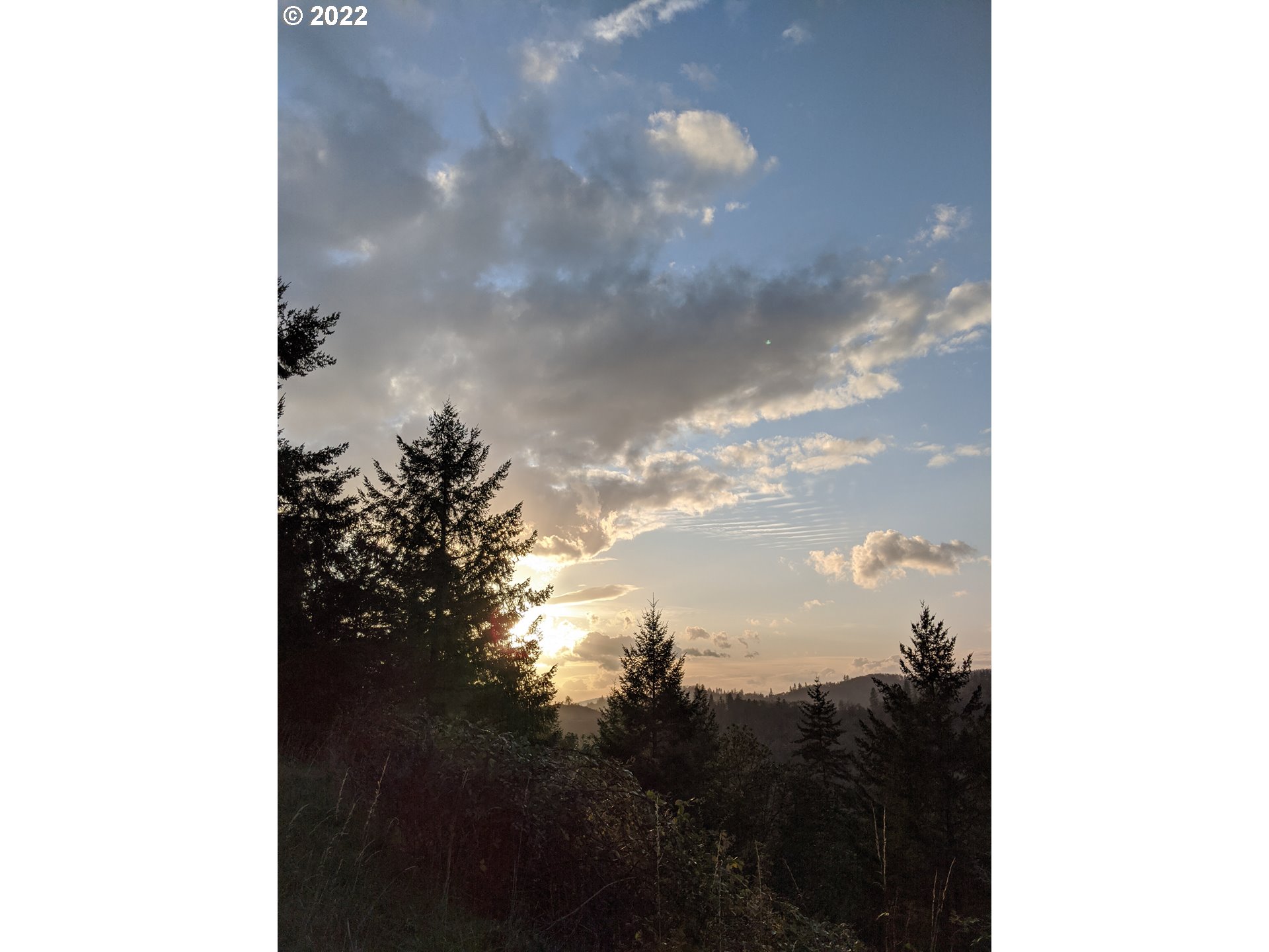 1105 Sunshine Road Roseburg, OR 97470 - Photo 4 of 15