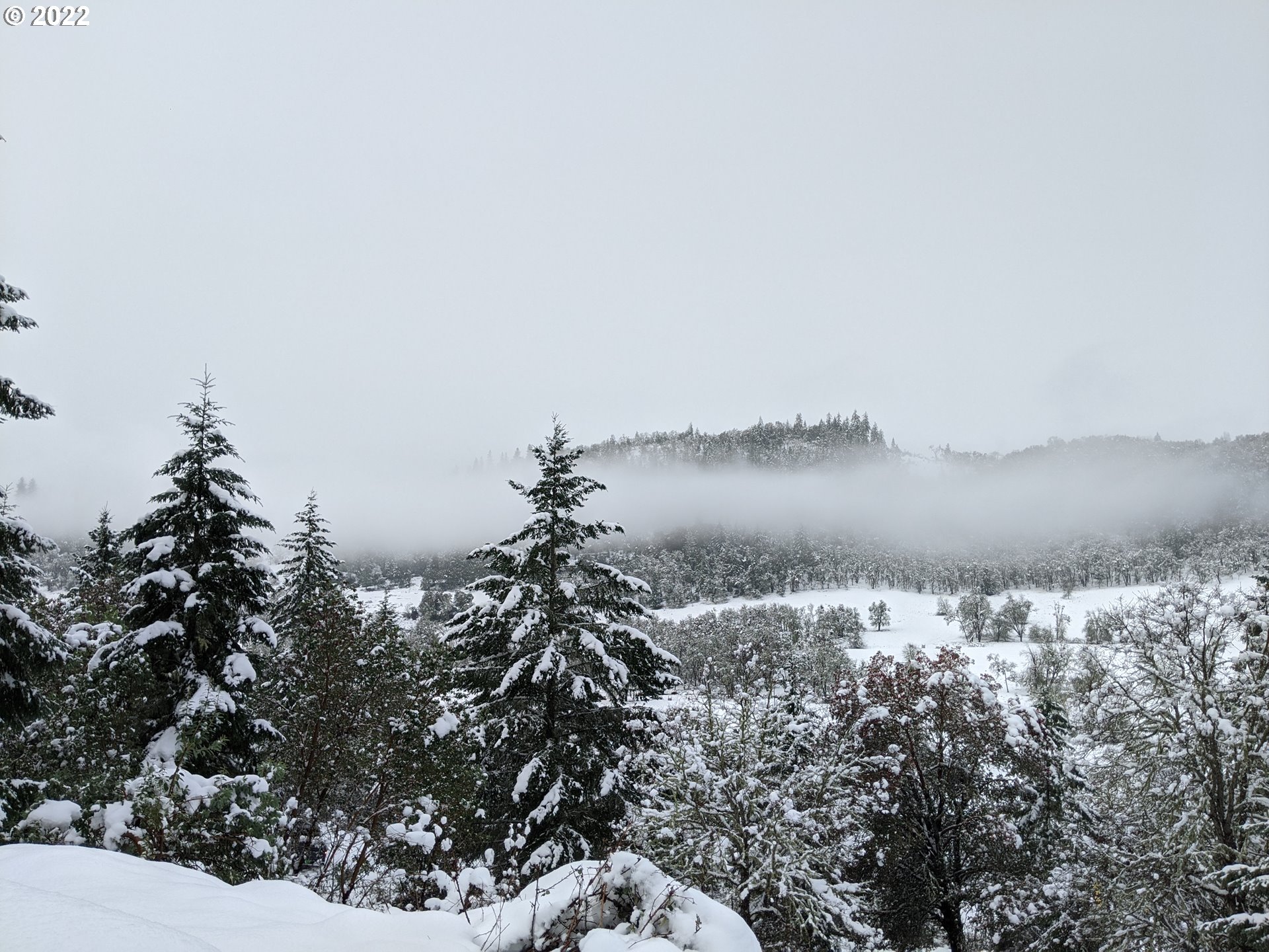 1105 Sunshine Road Roseburg, OR 97470 - Photo 5 of 15