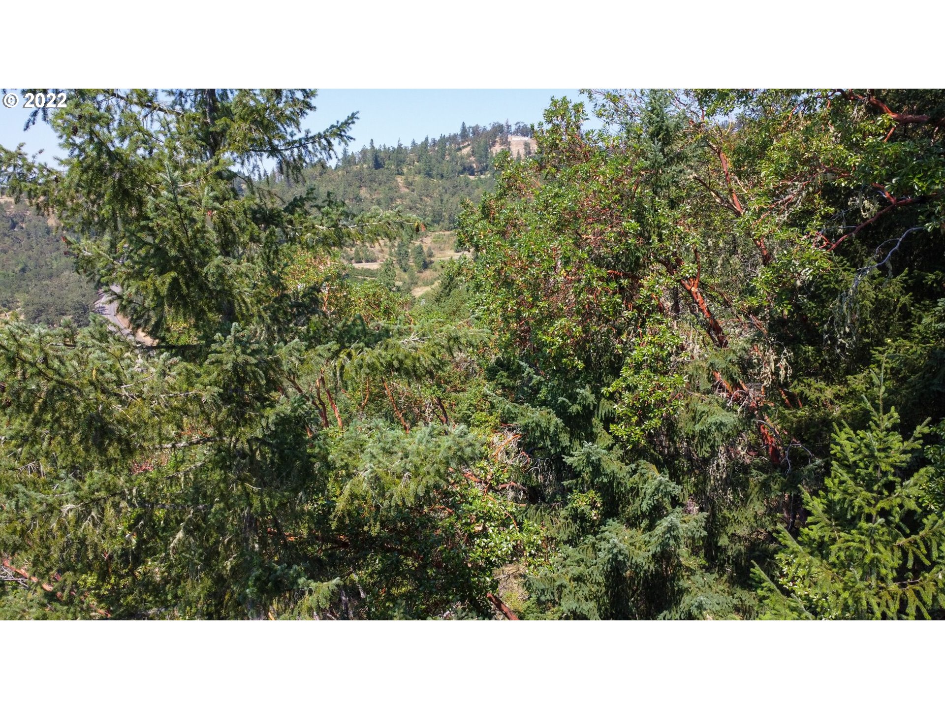 1105 Sunshine Road Roseburg, OR 97470 - Photo 9 of 15