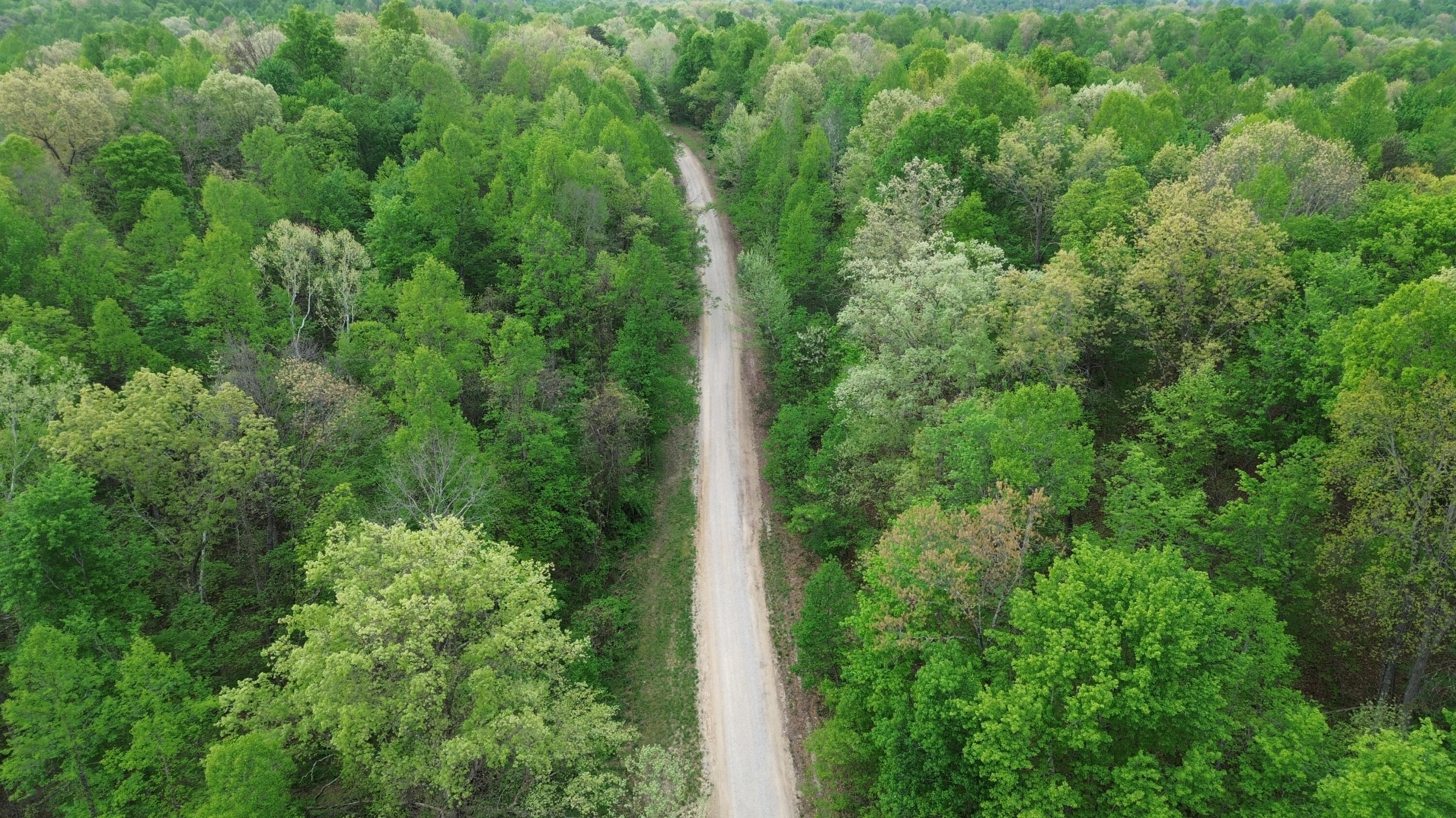 1271 A Tunnel Ridge Road Grayson, KY 41143 - Photo 8 of 134 Gravel Road