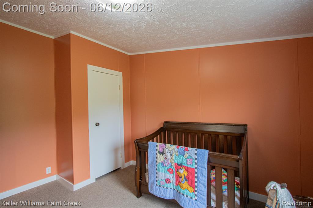 9795 Lambs Road Goodells, MI 48027 - Photo 27 of 47 Gallery Image 27