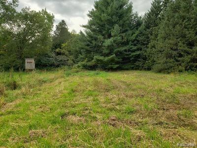 0 Davison Road Lapeer, MI 48446 - Photo 6 of 23