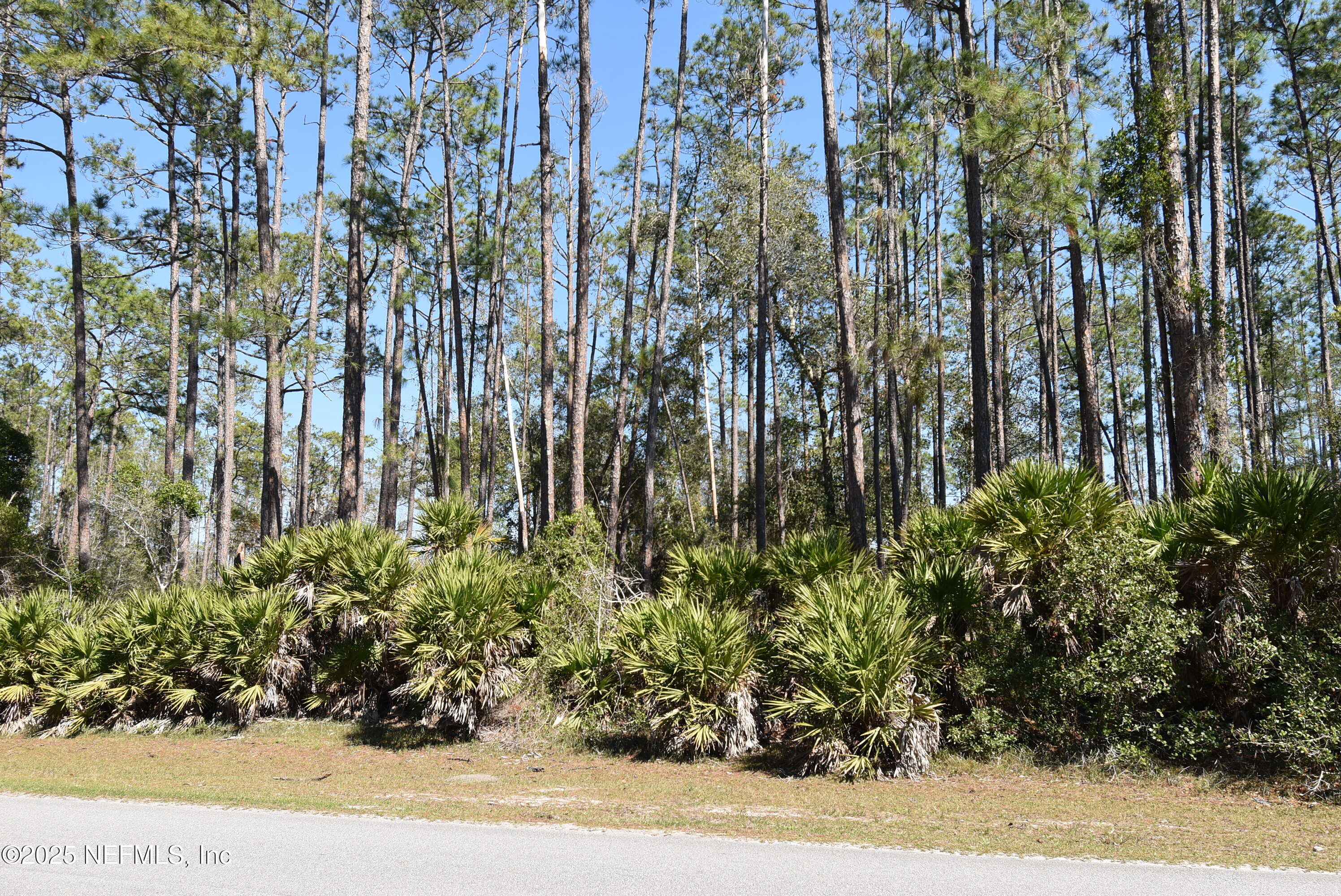 130 Whispering Pines Road Georgetown, FL 32139 - Photo 1 of 7 DSC_0212