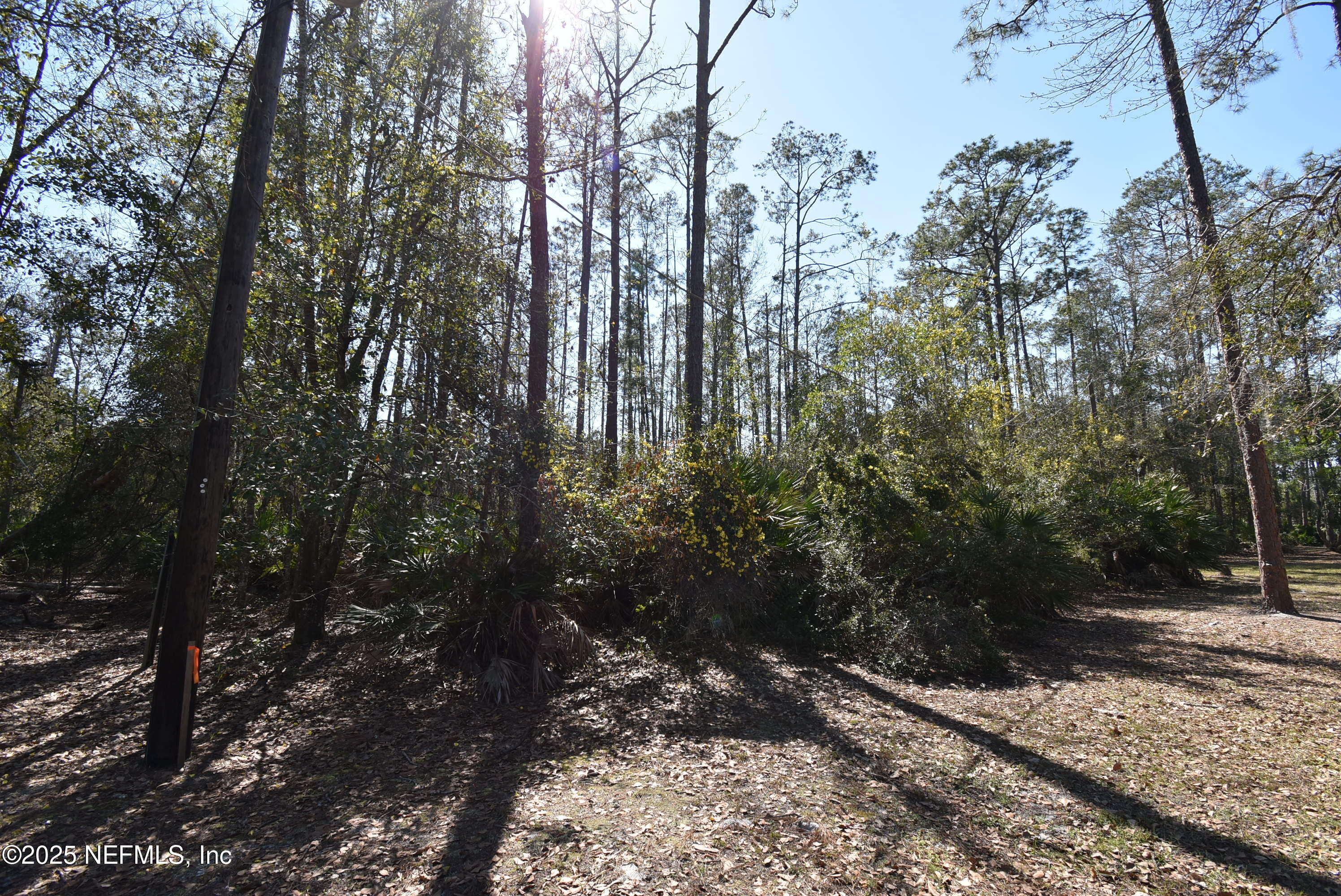 130 Whispering Pines Road Georgetown, FL 32139 - Photo 6 of 7 DSC_0230