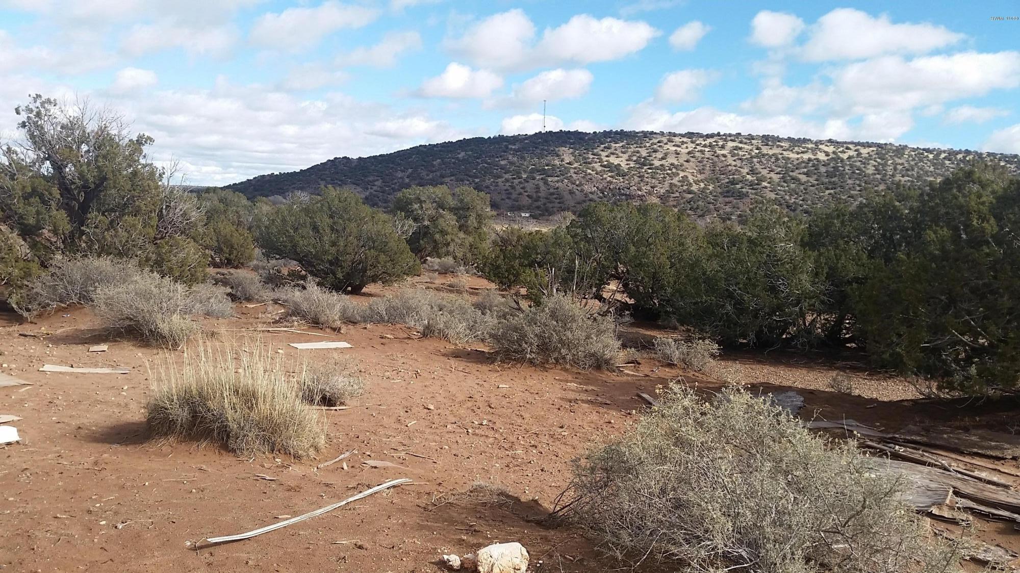 4571 El Dorado Road Snowflake, AZ 85937 - Photo 12 of 35