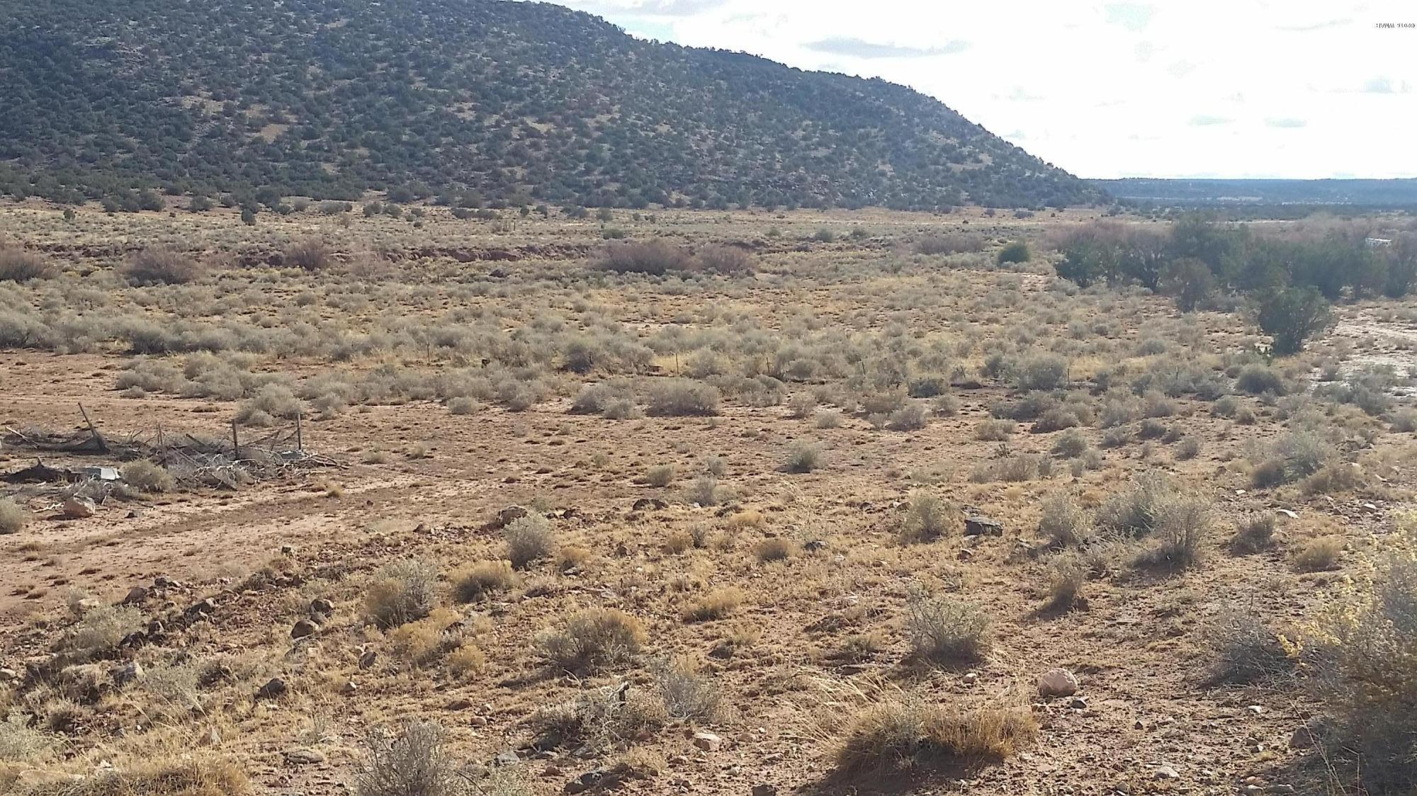 4571 El Dorado Road Snowflake, AZ 85937 - Photo 3 of 35