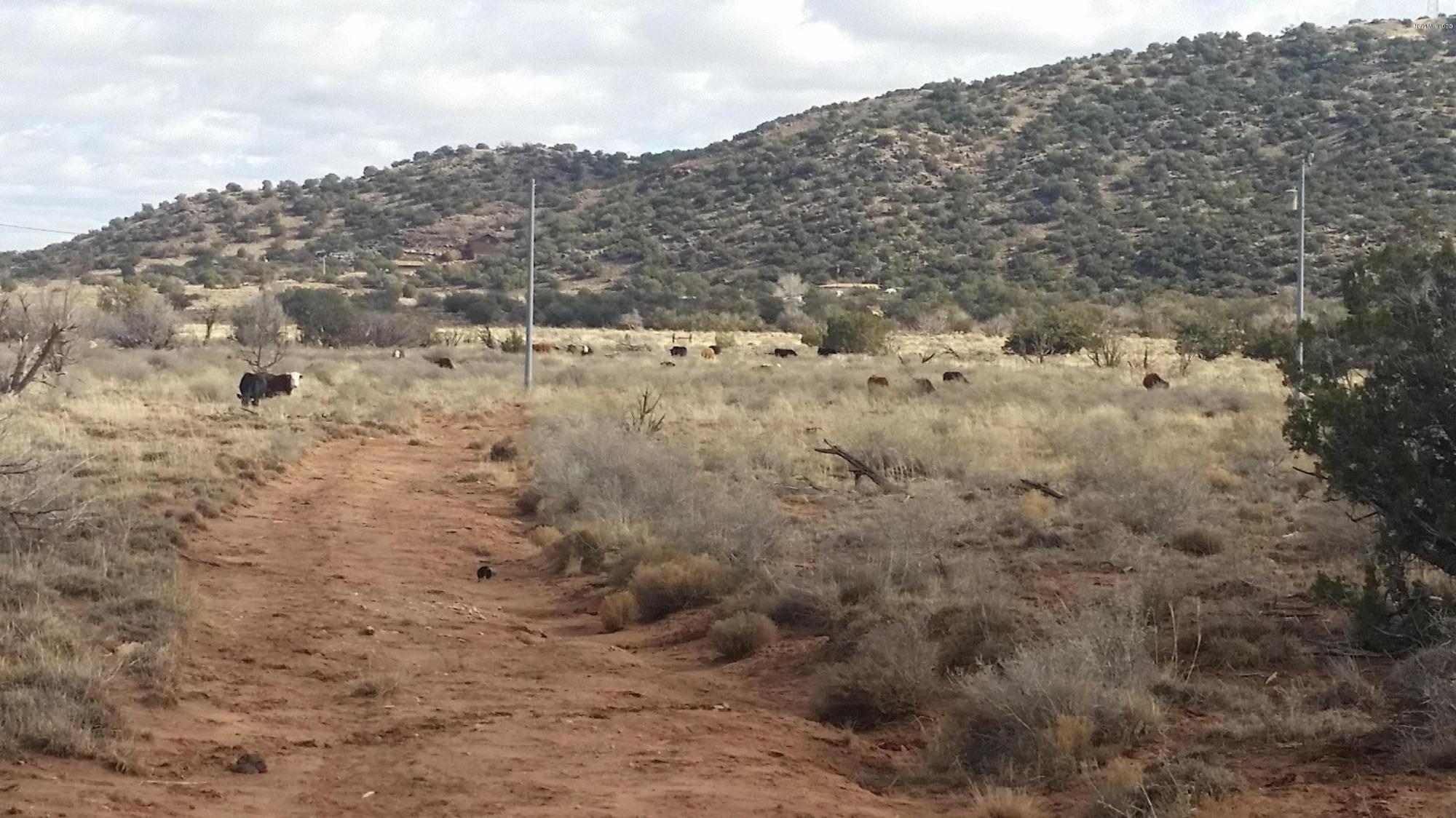 4571 El Dorado Road Snowflake, AZ 85937 - Photo 9 of 35
