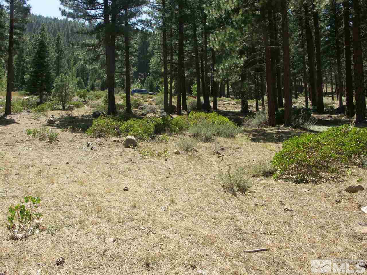 116 West Jeffrey Pine Road Reno, NV 89511 - Photo 6 of 7 Photo 6