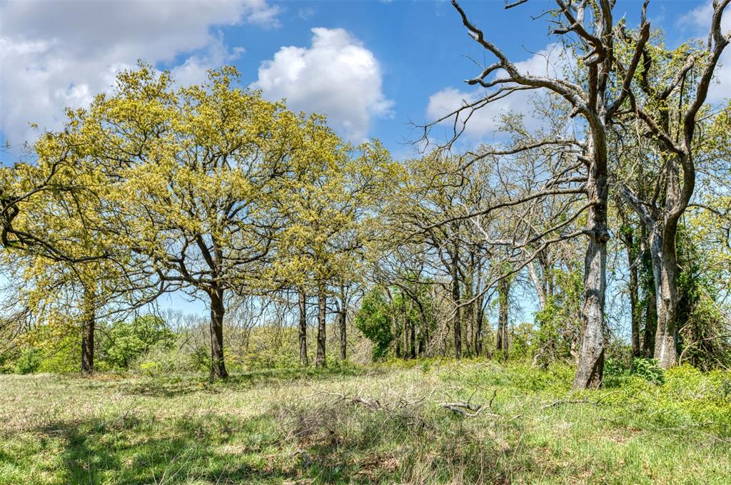 247 Private Road Covington, TX 76636 - Photo 23 of 38 View of nature