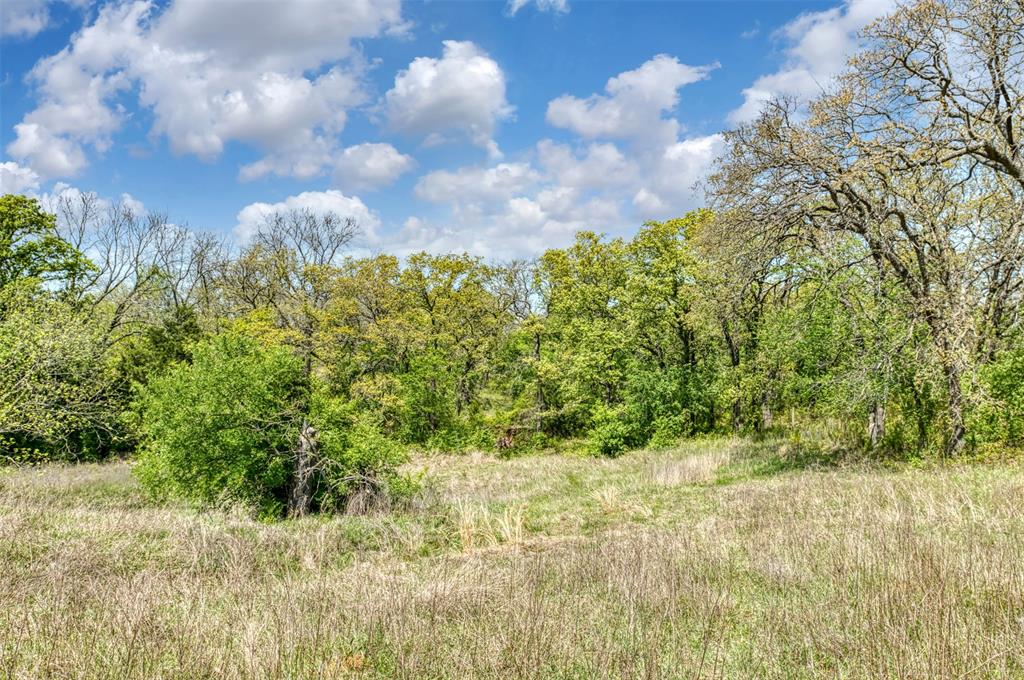 247 Private Road Covington, TX 76636 - Photo 28 of 38 View of nature with a view of trees
