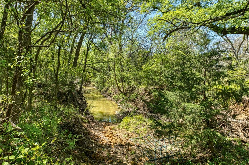 247 Private Road Covington, TX 76636 - Photo 32 of 38 View of nature with a forest view