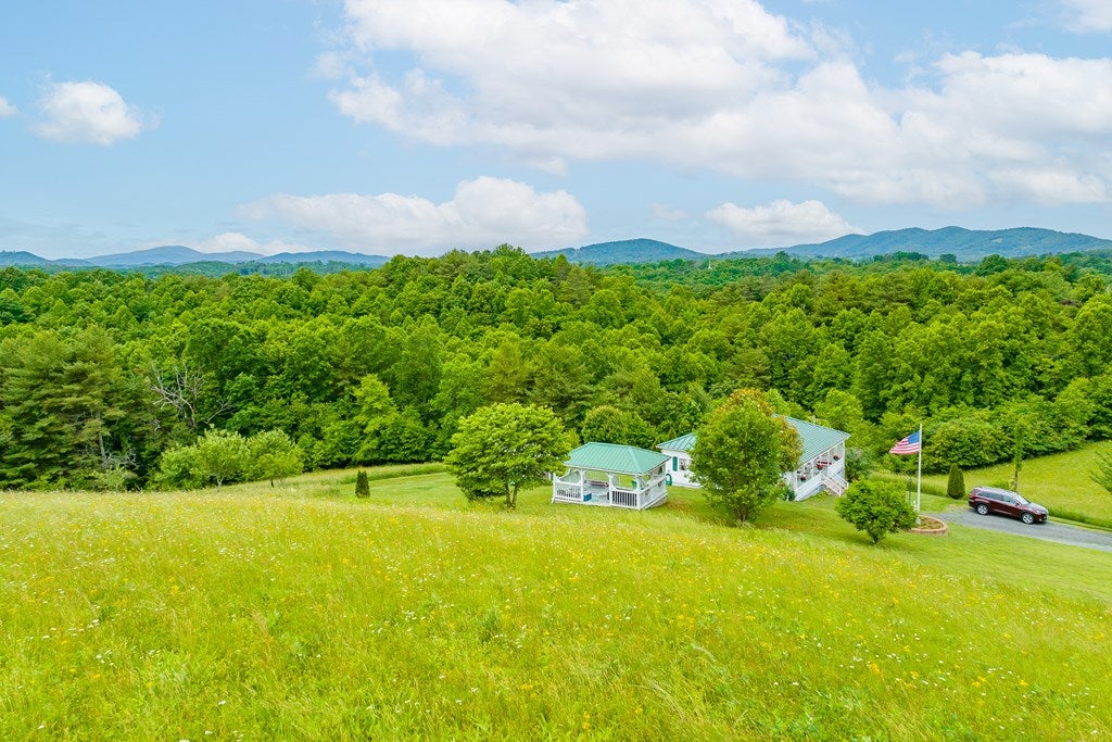 1063 Hilltown Road Fries, VA 24330 - Photo 50 of 61 Gallery Image 50
