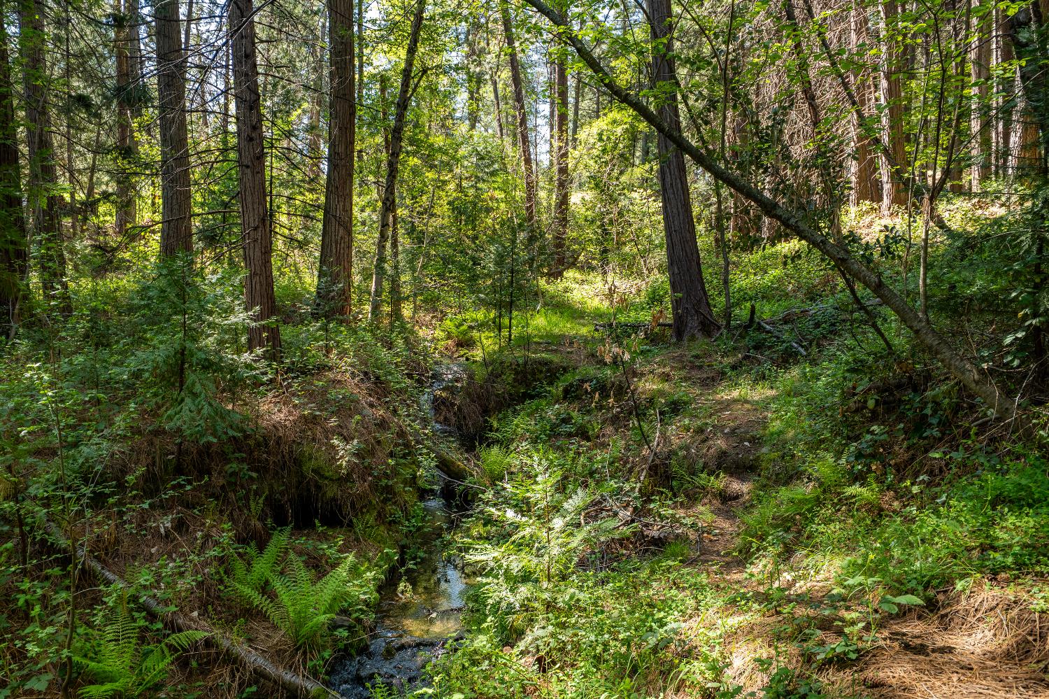 202 Gold Flat Road Nevada City, CA 95959 - Photo 17 of 22