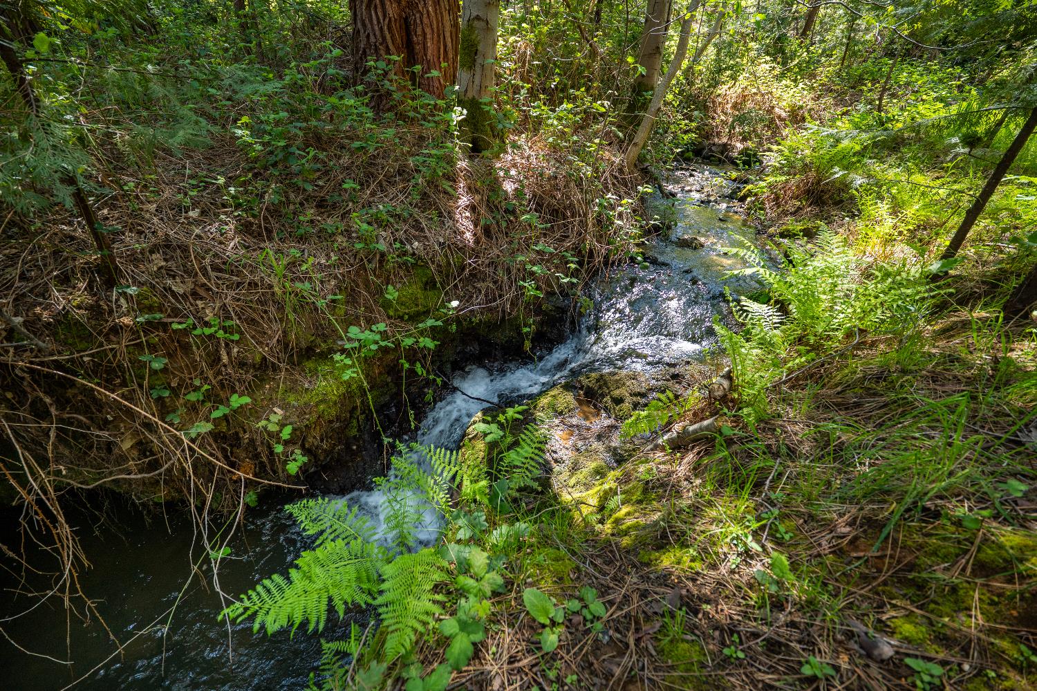 202 Gold Flat Road Nevada City, CA 95959 - Photo 18 of 22