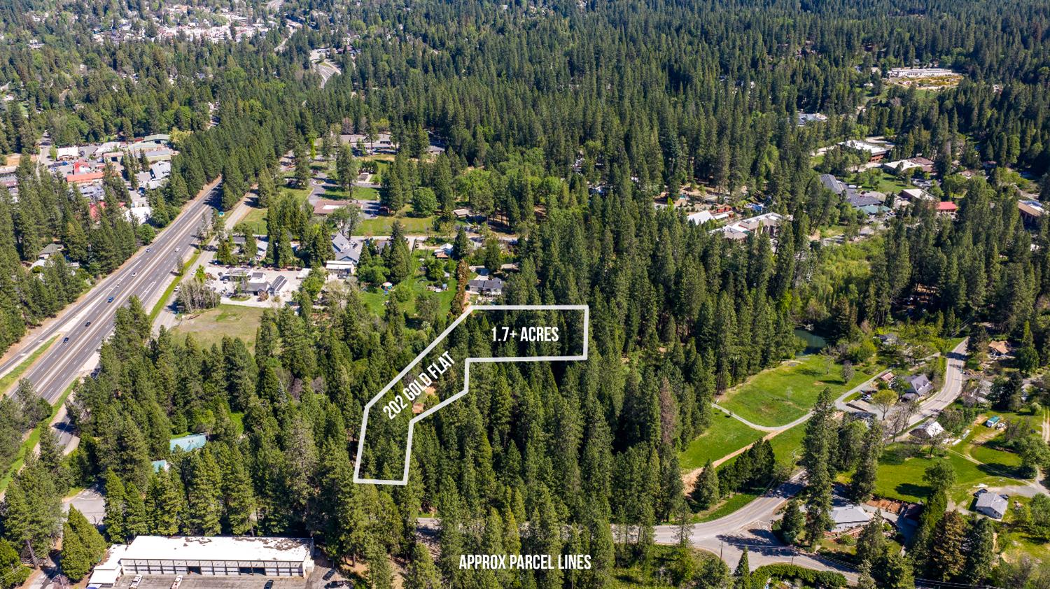 202 Gold Flat Road Nevada City, CA 95959 - Photo 3 of 22