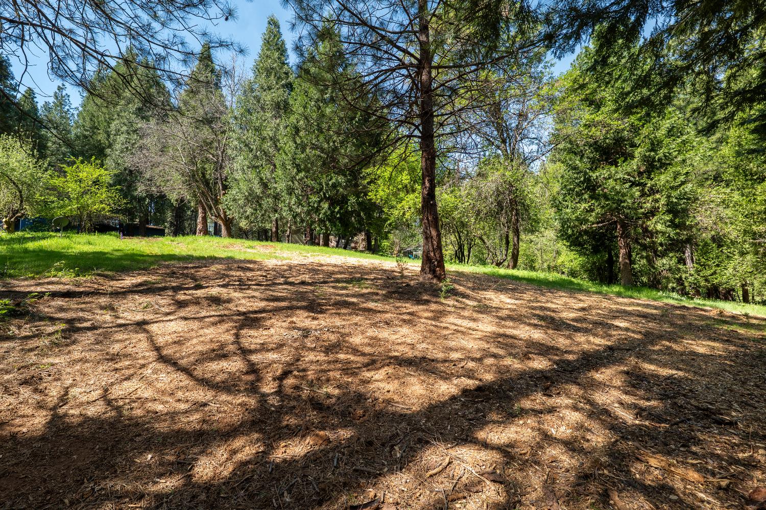 202 Gold Flat Road Nevada City, CA 95959 - Photo 6 of 22