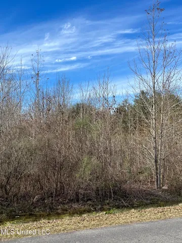 $110,387 | 3037 Hwy Jonesville La, Jonesville, LA 71343