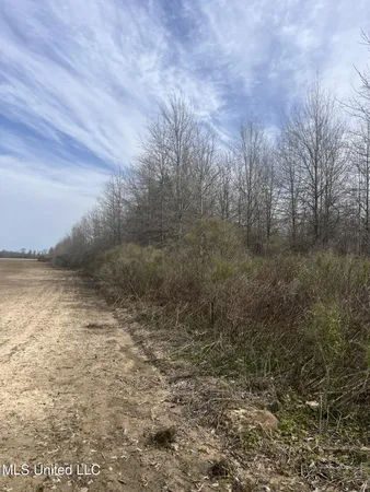 $110,387 | 3037 Hwy Jonesville La, Jonesville, LA 71343