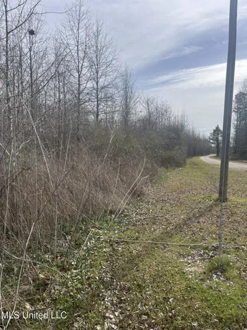 $110,387 | 3037 Hwy Jonesville La, Jonesville, LA 71343