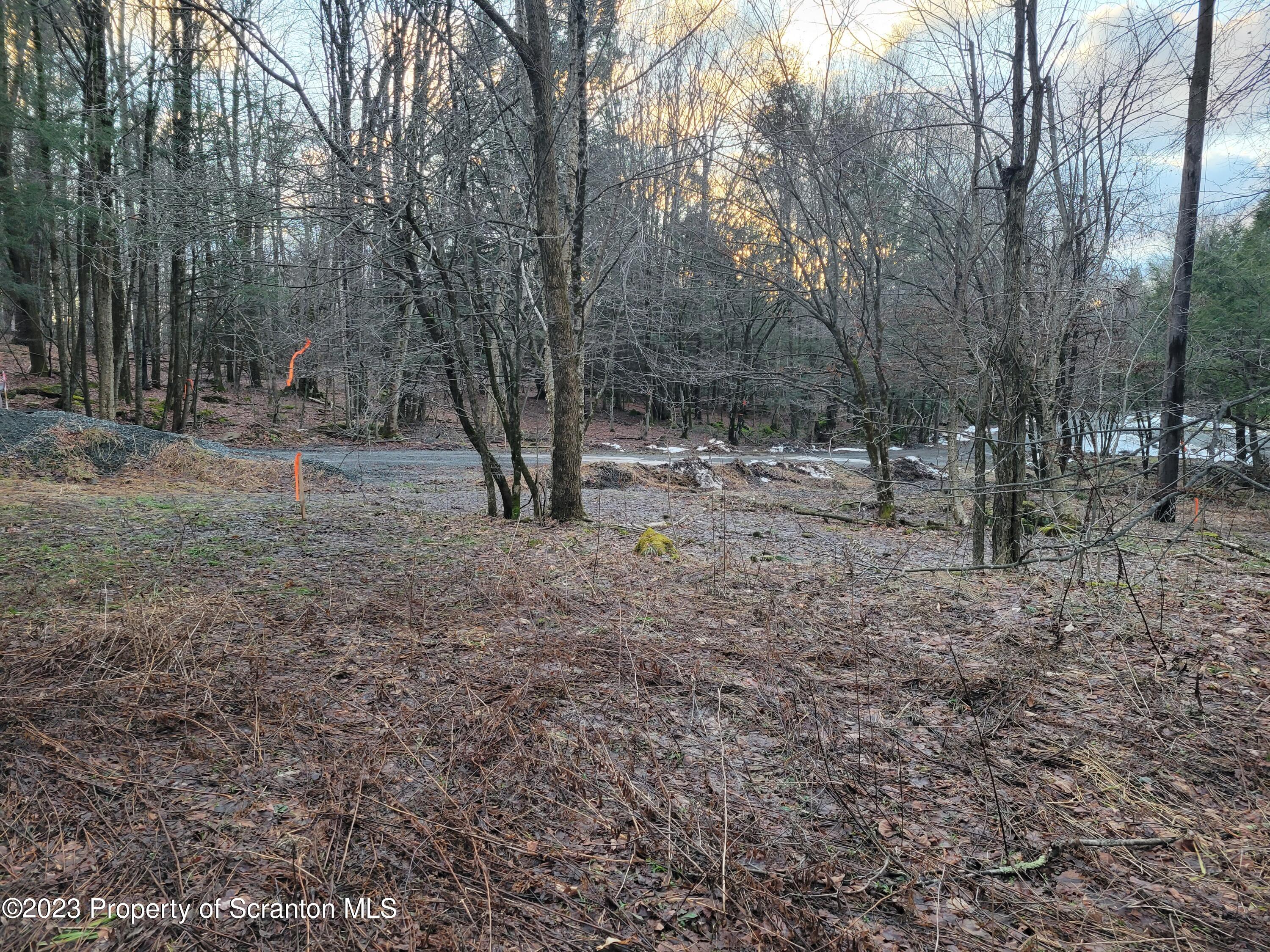 3 Baxter Road Pleasant Mount, PA 18453 - Photo 4 of 4 20230105_162029
