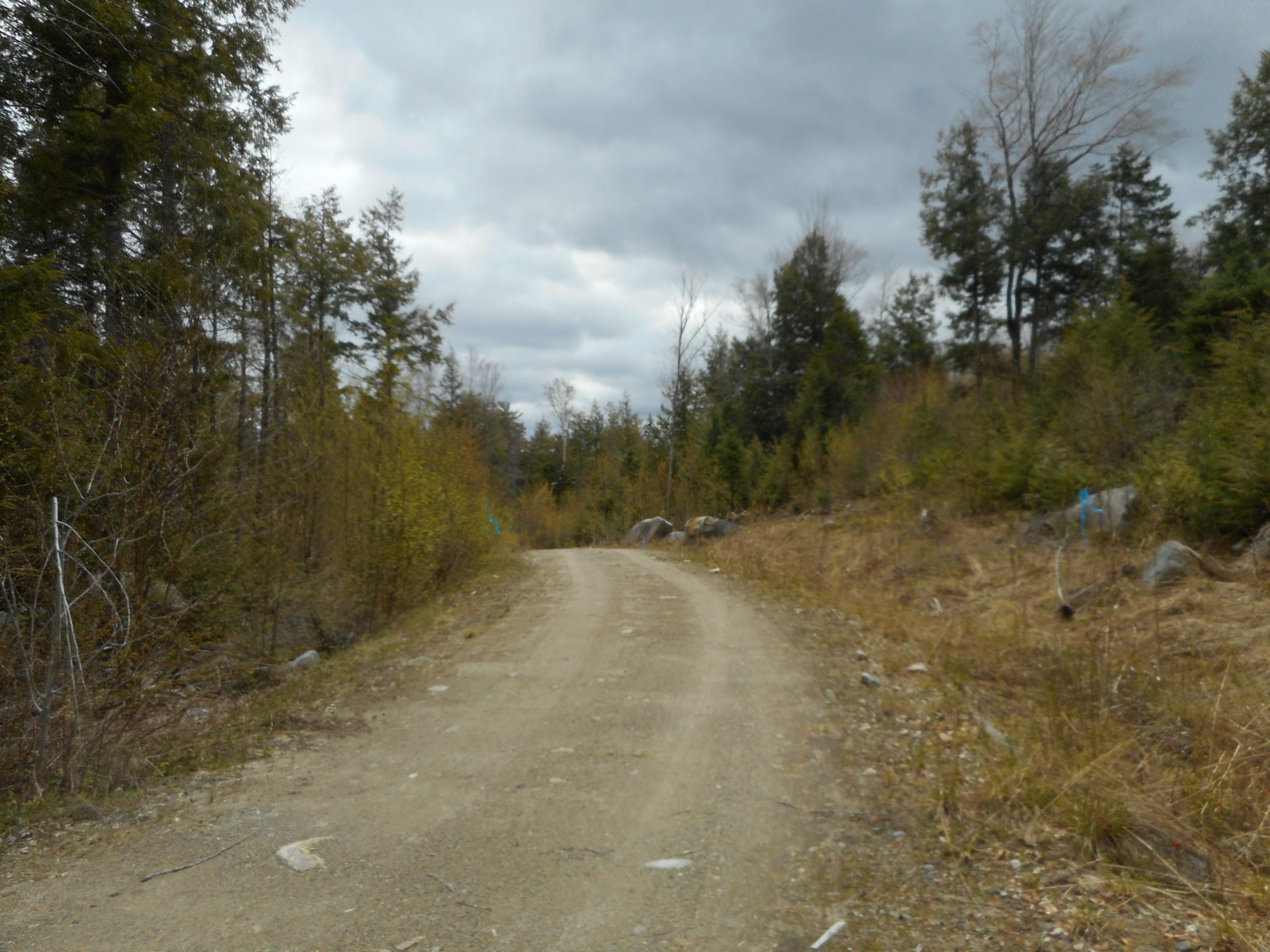 Tbd Lot 12 Tbd Road Lincoln, ME 04457 - Photo 17 of 17 DSCN2019