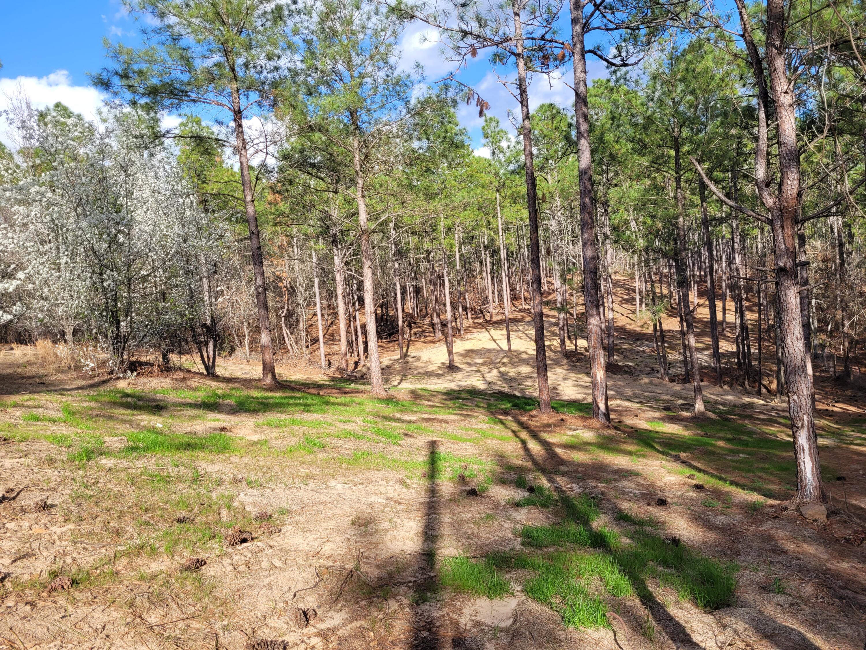 769 Chime Bell Church Road Aiken, SC 29803 - Photo 20 of 21 Gallery Image 20